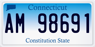 CT license plate AM98691