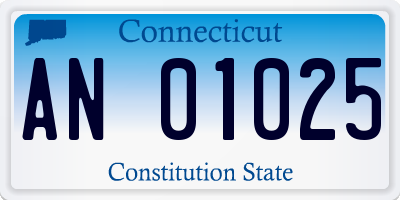 CT license plate AN01025