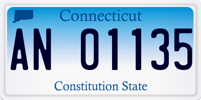 CT license plate AN01135