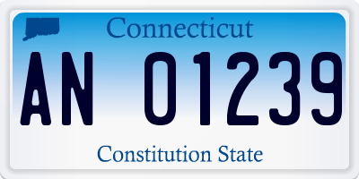 CT license plate AN01239