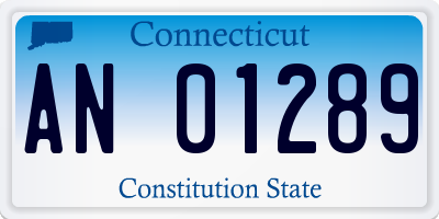 CT license plate AN01289