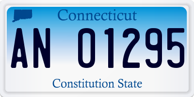 CT license plate AN01295