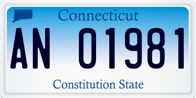 CT license plate AN01981