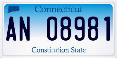 CT license plate AN08981