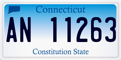 CT license plate AN11263