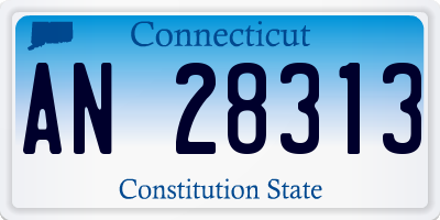 CT license plate AN28313