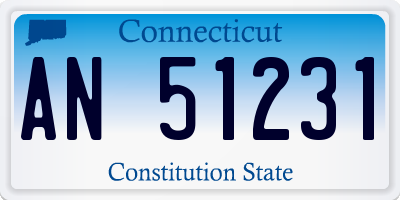 CT license plate AN51231