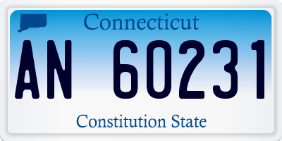 CT license plate AN60231