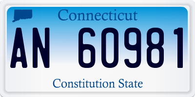 CT license plate AN60981
