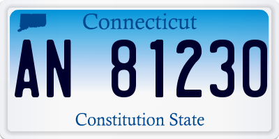 CT license plate AN81230