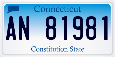 CT license plate AN81981