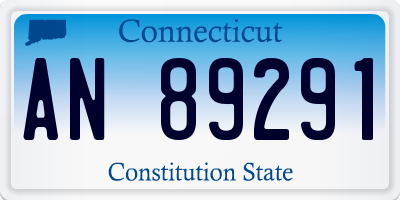 CT license plate AN89291