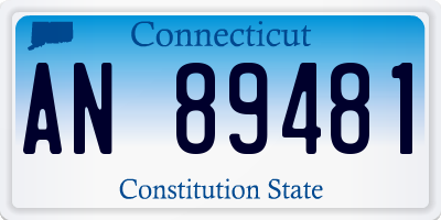 CT license plate AN89481