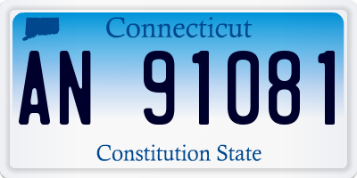CT license plate AN91081