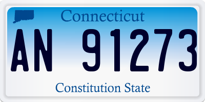 CT license plate AN91273