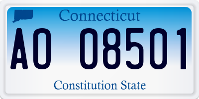 CT license plate AO08501