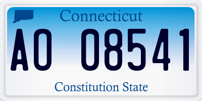 CT license plate AO08541