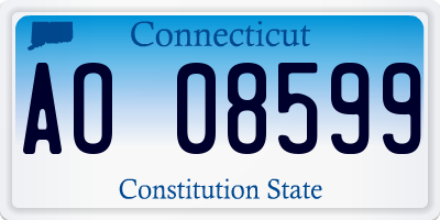CT license plate AO08599