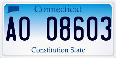 CT license plate AO08603