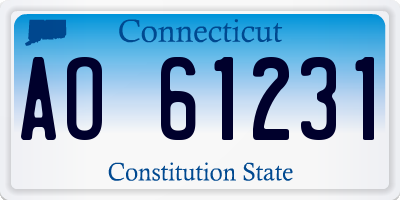 CT license plate AO61231