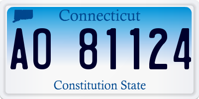 CT license plate AO81124