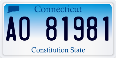 CT license plate AO81981