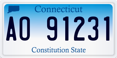 CT license plate AO91231