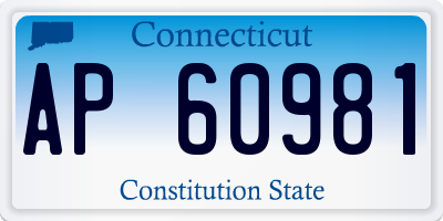 CT license plate AP60981
