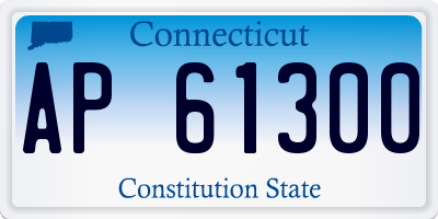 CT license plate AP61300