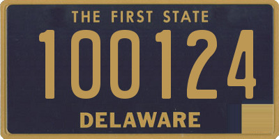 DE license plate 100124