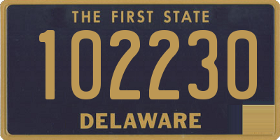 DE license plate 102230
