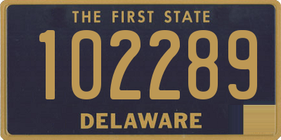 DE license plate 102289