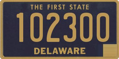 DE license plate 102300