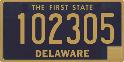 DE license plate 102305