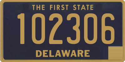 DE license plate 102306