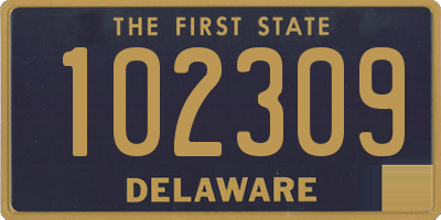DE license plate 102309