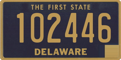 DE license plate 102446
