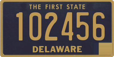 DE license plate 102456