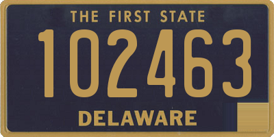 DE license plate 102463