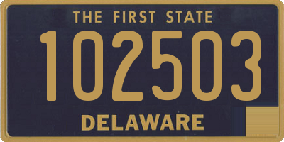 DE license plate 102503