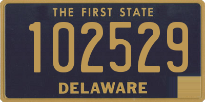 DE license plate 102529