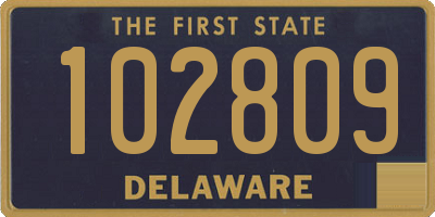 DE license plate 102809