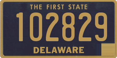DE license plate 102829