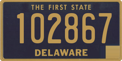 DE license plate 102867