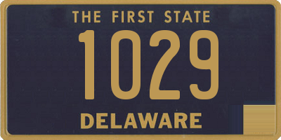 DE license plate 1029