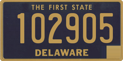 DE license plate 102905