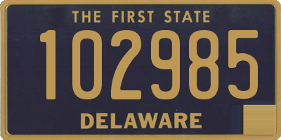 DE license plate 102985
