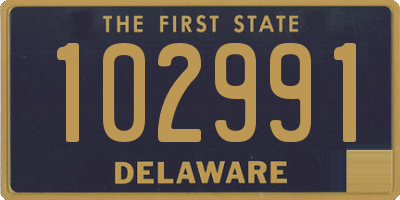 DE license plate 102991