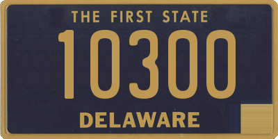 DE license plate 10300