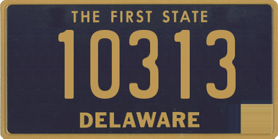 DE license plate 10313